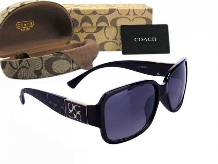 Coach Sunglasses 8002 | Women